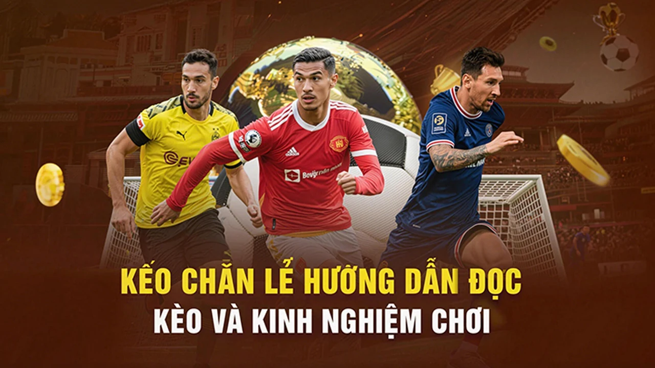 Casino: Cách nhận biết chi tiết dễ nhầm về casino — Cách đối chiếu thông tin trước khi tham gia — OK365